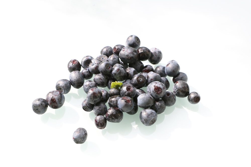 Heidelbeeren - Blaubeeren - Vaccinium myrtillu